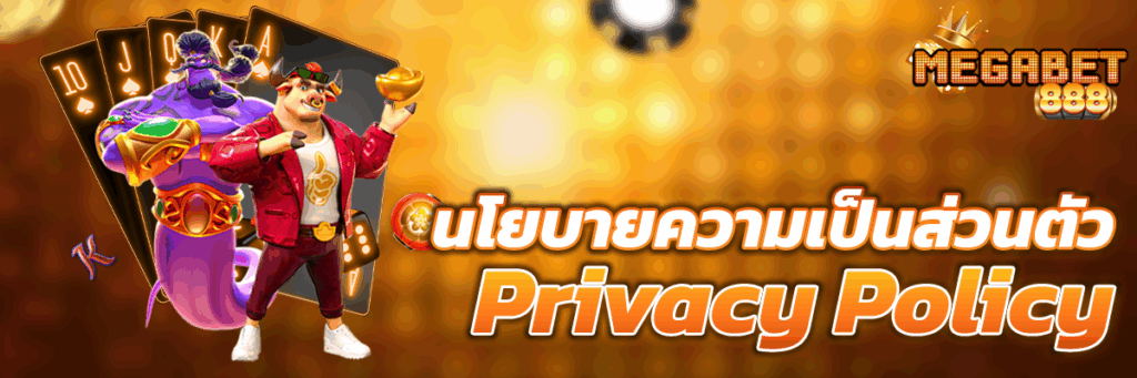 นโยบายความเป็นส่วนตัว